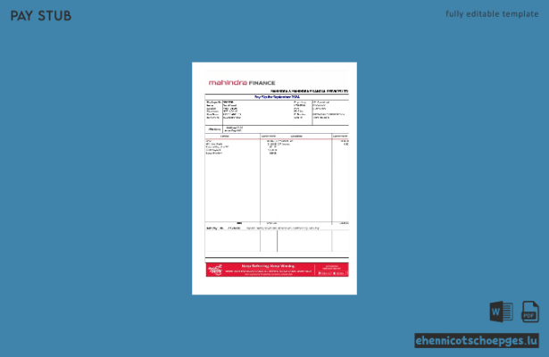 Mahindra Financial Services LTD Gehaltsabrechnungsbeispiel (Vorschau)